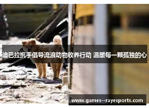 迪巴拉携手倡导流浪动物收养行动 温暖每一颗孤独的心