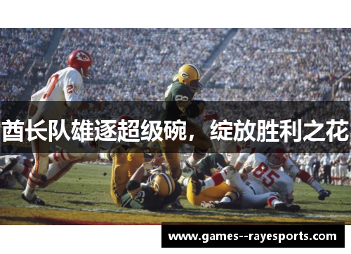 酋长队雄逐超级碗,绽放胜利之花 酋长队雄逐超级碗,绽放胜利之花